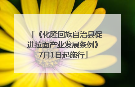 《化隆回族自治县促进拉面产业发展条例》7月1日起施行