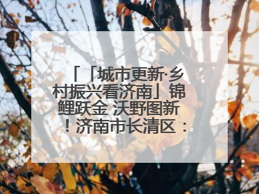 「城市更新·乡村振兴看济南」锦鲤跃金 沃野图新！济南市长清区：小锦鲤大产业 游出农旅新风景