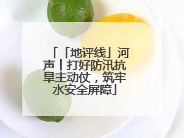 「地评线」河声丨打好防汛抗旱主动仗，筑牢水安全屏障