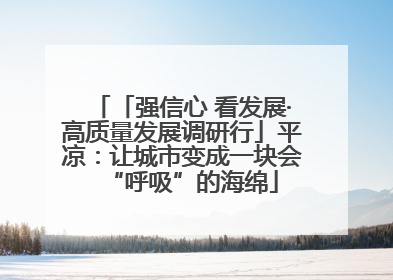 「强信心 看发展·高质量发展调研行」平凉：让城市变成一块会“呼吸”的海绵