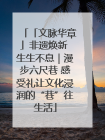 「文脉华章」非遗焕新 生生不息｜漫步六尺巷 感受礼让文化浸润的“巷”往生活
