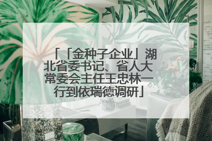 「金种子企业」湖北省委书记、省人大常委会主任王忠林一行到依瑞德调研