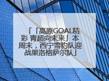 「高原GOAL精彩 青超向未来」本周末，西宁雪豹队迎战果洛格萨尔队