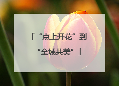 “点上开花”到“全域共美”