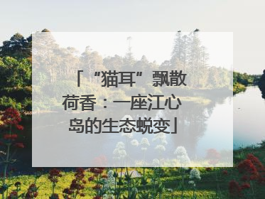 “猫耳”飘散荷香：一座江心岛的生态蜕变