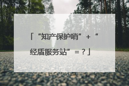 “知产保护哨”+“经盾服务站”=？