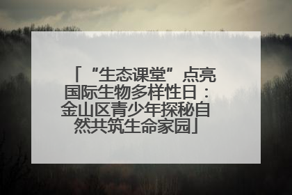 “生态课堂”点亮国际生物多样性日：金山区青少年探秘自然共筑生命家园