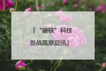 “硬核”科技备战高原夏汛
