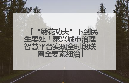 “绣花功夫”下到民生要处！泰兴城市治理智慧平台实现全时段联网全要素细治