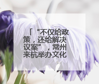 “不仅给政策，还给解决议案”，常州来杭举办文化产业推介会