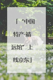 “中国特产·靖远馆”上线京东