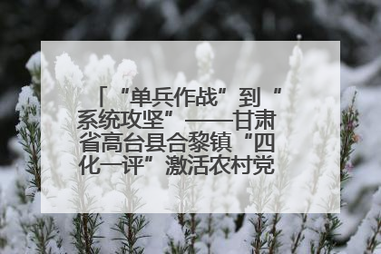 “单兵作战”到“系统攻坚”——甘肃省高台县合黎镇“四化一评”激活农村党员管理新引擎