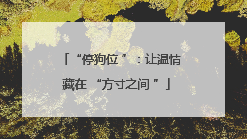 “停狗位 ”：让温情藏在 “方寸之间 ”