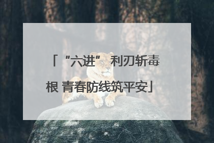 “六进” 利刃斩毒根 青春防线筑平安
