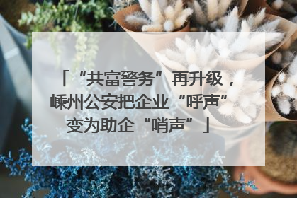 “共富警务”再升级，嵊州公安把企业“呼声”变为助企“哨声”
