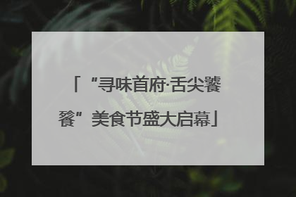 “寻味首府·舌尖饕餮”美食节盛大启幕