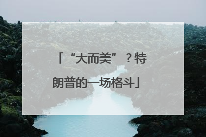 “大而美”？特朗普的一场格斗