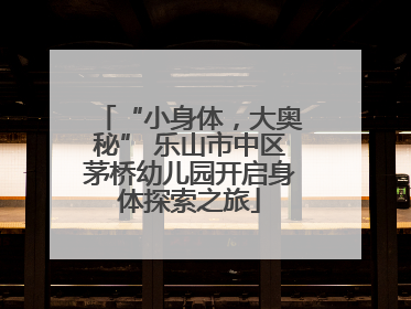 “小身体，大奥秘” 乐山市中区茅桥幼儿园开启身体探索之旅