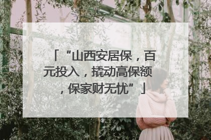 “山西安居保，百元投入，撬动高保额，保家财无忧”