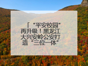 “平安校园”再升级！黑龙江大兴安岭公安打造“三位一体”守护新模式