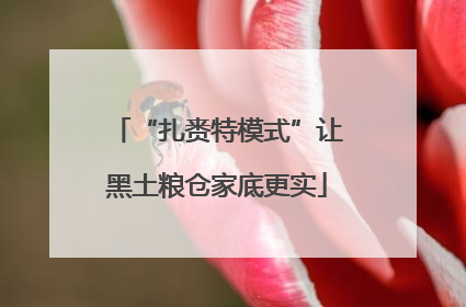 “扎赉特模式”让黑土粮仓家底更实