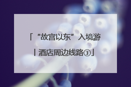 “故宫以东”入境游丨酒店周边线路③