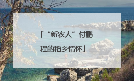 “新农人”付鹏程的稻乡情怀