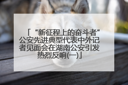 “新征程上的奋斗者”公安先进典型代表中外记者见面会在湖南公安引发热烈反响(一)
