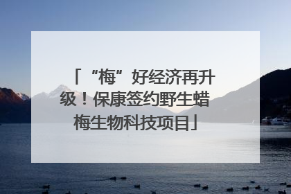 “梅”好经济再升级！保康签约野生蜡梅生物科技项目
