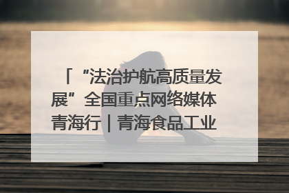“法治护航高质量发展”全国重点网络媒体青海行｜青海食品工业协会：架起“青字号”美食的产业化桥梁