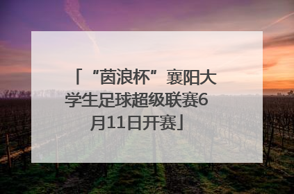 “茵浪杯”襄阳大学生足球超级联赛6月11日开赛