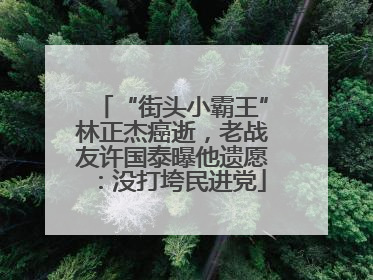 “街头小霸王”林正杰癌逝，老战友许国泰曝他遗愿：没打垮民进党
