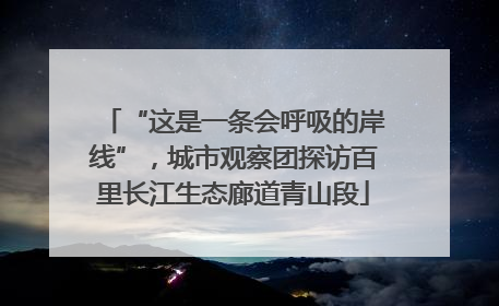 “这是一条会呼吸的岸线”，城市观察团探访百里长江生态廊道青山段