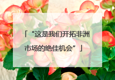 “这是我们开拓非洲市场的绝佳机会”