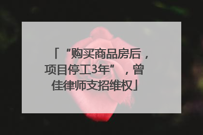 “购买商品房后，项目停工3年”，曾佳律师支招维权