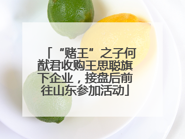 “赌王”之子何猷君收购王思聪旗下企业，接盘后前往山东参加活动