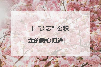 “遗忘”公积金的暖心归途