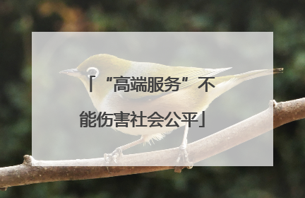 “高端服务”不能伤害社会公平