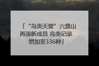 “鸟类天堂”六盘山再添新成员 鸟类记录增加至336种