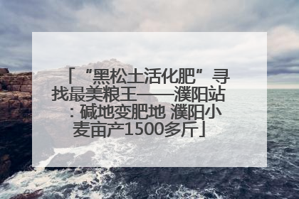 “黑松土活化肥”寻找最美粮王——濮阳站：碱地变肥地 濮阳小麦亩产1500多斤