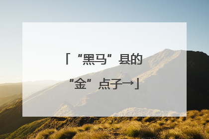 “黑马”县的“金”点子→