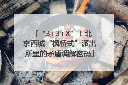 “3+3+X”！北京西城“枫桥式”派出所里的矛盾调解密码