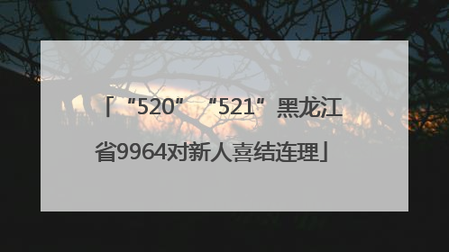 “520”“521”黑龙江省9964对新人喜结连理