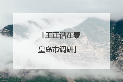 王正谱在秦皇岛市调研