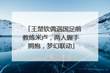 王楚钦偶遇国足前教练米卢，两人握手拥抱，梦幻联动