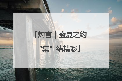 灼言｜盛夏之约 “集”结精彩