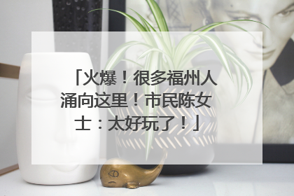 火爆！很多福州人涌向这里！市民陈女士：太好玩了！