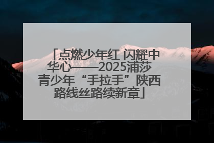 点燃少年红 闪耀中华心——2025浦莎青少年“手拉手”陕西路线丝路续新章