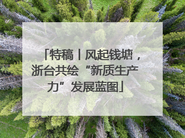 特稿丨风起钱塘，浙台共绘“新质生产力”发展蓝图