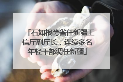 石如根跨省任新疆工信厅副厅长，连续多名年轻干部调任新疆